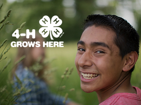 4-H Grows
