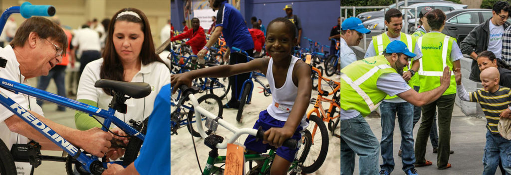 Paralegal case study picture