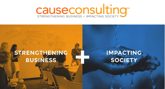 SDGs, Design Thinking and Team Expansion – Newsletter #10