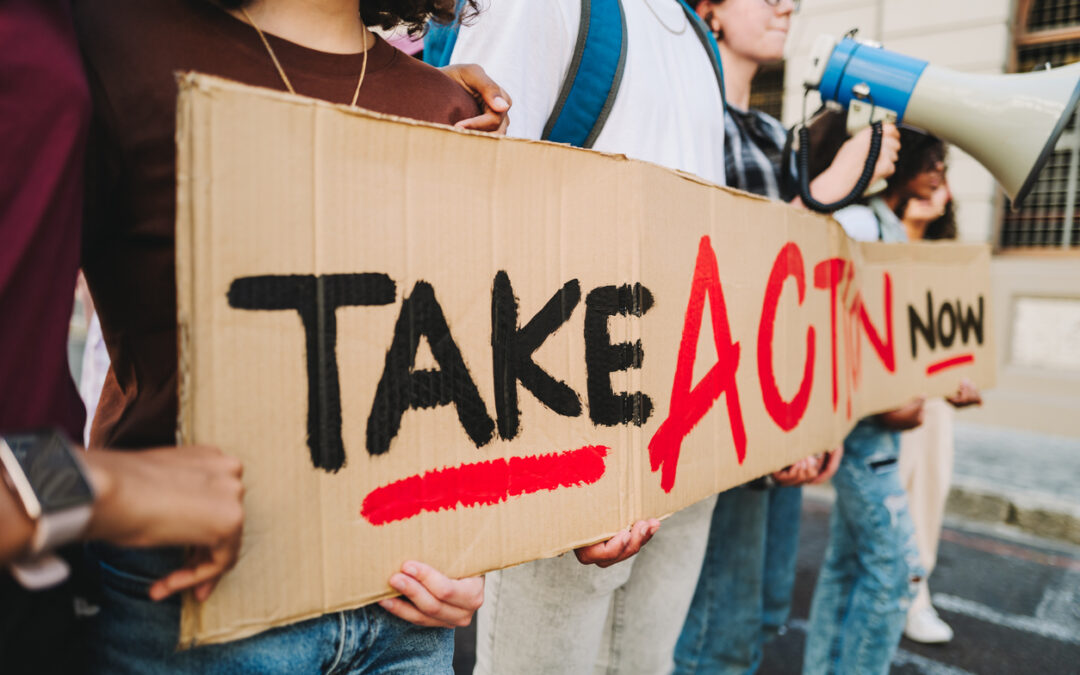 When + How to Take a Stand: Emerging Issue Action Model